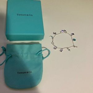 Tiffany & Co mood and charm bracelet